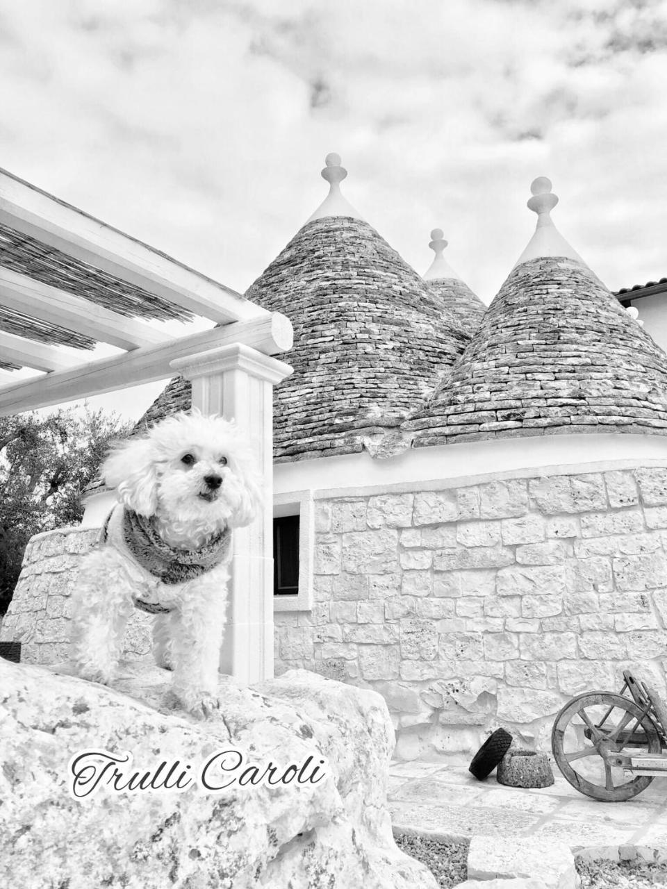 Отель Trulli Caroli Локоротондо Экстерьер фото